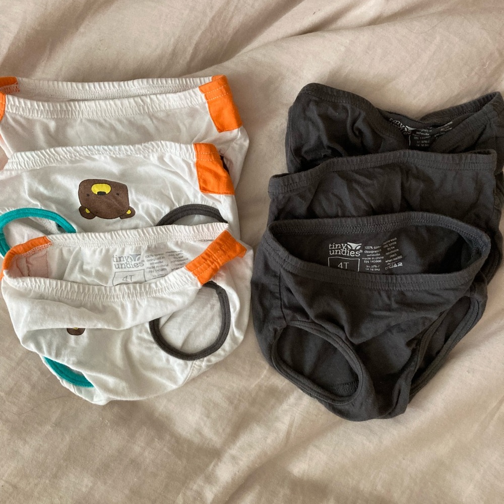 Little Kids Tiny Undies 4T underwear - Grey and Bears